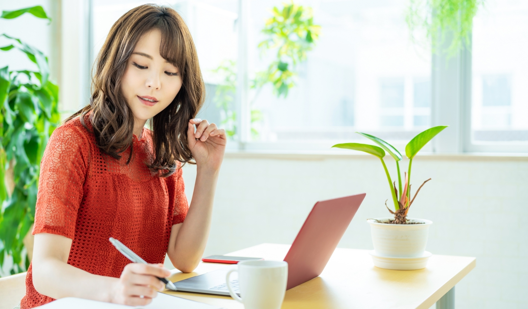 Tax Accountant Support